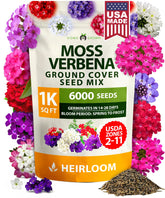 HOME GROWN Verbena Moss seeds pack for dense ground cover