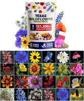 HOME GROWN seed pack front view showing 131200 wildflower mix for vibrant garden color.