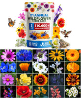 HOME GROWN Wildflower Seeds Mix field meadow boosts vibrant color for pollinators
