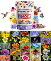 HOME GROWN Wildflower Seeds Mix packaging ready for outdoor planting in pollinator-friendly gardens.