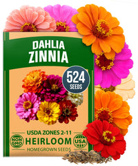 HOME GROWN Zinnia Dahlia seeds pack close-up of vivid double blooms for bouquets