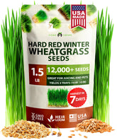 HOME GROWN Hard Red Wheatgrass Seeds in a close-up bag, ideal for sprouting and juicing.