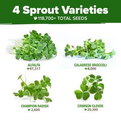 HOME GROWN sprouting seeds on a tray for easy microgreens harvest.