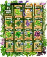 HOME GROWN basil seed packet for fresh, flavorful basil from your windowsill