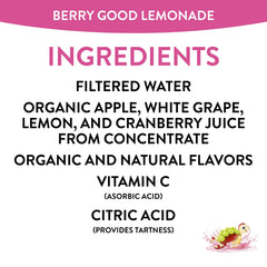 Honest Kids Berry Good Lemonade lunchbox pack ready for kids' school snack time.
