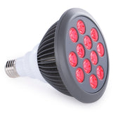 Hooga HG24 dual-chip LED bulb with 660nm red and 850nm near infrared light for targeted sessions.