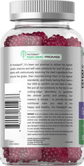 Horbaach Elderberry Gummies label shows vegan and gluten-free attributes