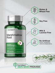 Horbaach marshmallow root capsules inside view shows quick-release capsules