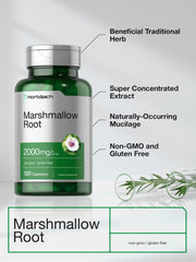 Horbaach marshmallow root capsules packaging shows premium herbal supplement