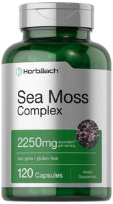 Horbäach Sea Moss Complex bottle front for daily wellness.