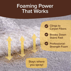 Horsepower Bull Shot Pet Pro foam on upholstery lifting messes without residue