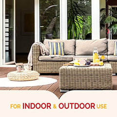 Hot Shot MaxAttrax indoor wall placement along a baseboard to deter ants.