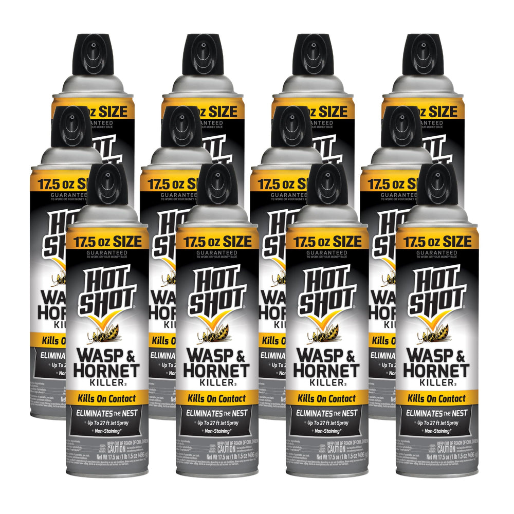 Hot Shot Wasp & Hornet Killer 17.5 oz with up to 27-foot jet spray for distant nests.