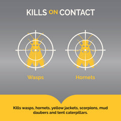 Hot Shot Wasp & Hornet Killer aerosol targets nests for quick elimination.