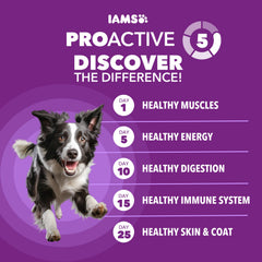IAMS Advanced Health Skin & Coat kibble close-up highlights real chicken and salmon for strong muscles.