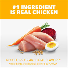 IAMS Proactive Health chiot développement cognitif avec DHA Omega-3.