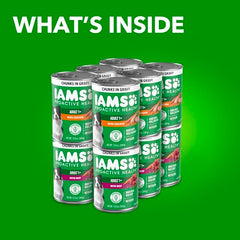IAMS Proactive Health wet dog food with beef chunks in gravy, flavorful and hearty.