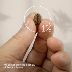 illy whole bean coffee showcases a rich aroma and balanced flavor profile.