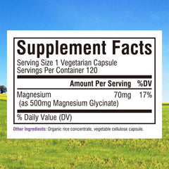 Front view of Innate Vitality bottle containing 120 capsules.