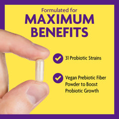 InnovixLabs probiotic strains chart image emphasizes 31 strains for diverse gut support.
