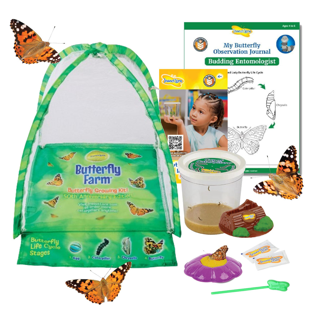 Insect Lore Butterfly Farm: live caterpillars for hands-on metamorphosis learning.
