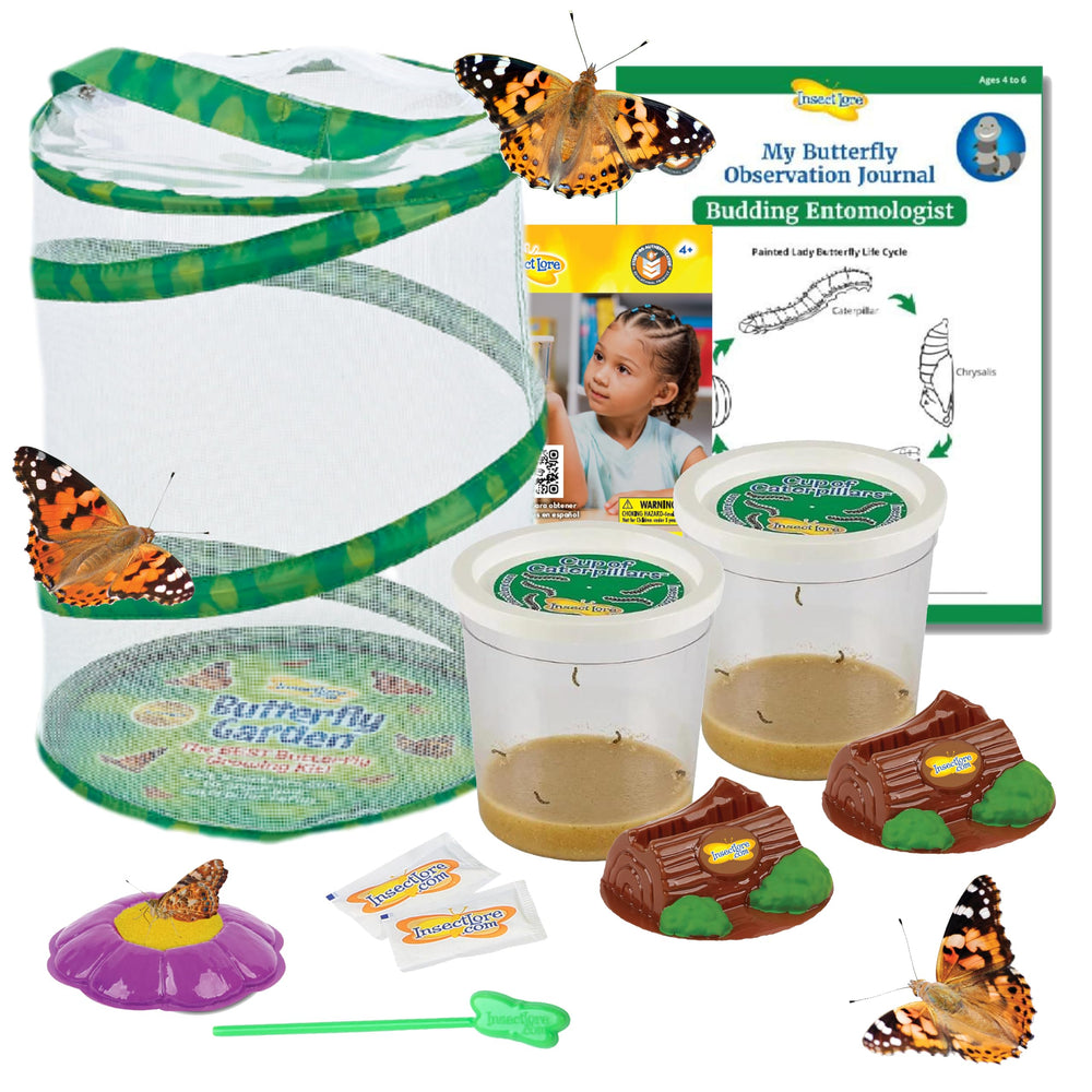 Insect Lore Butterfly Garden setup showing a complete home habitat for learning