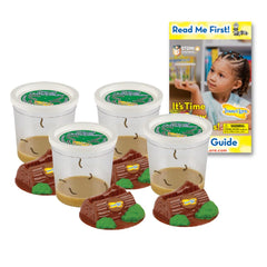 Insect Lore Funtastic cups setup with caterpillars ready for observation.