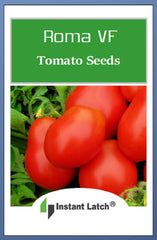 Roma VF tomato fruit close-up, 6 oz plum tomato ideal for sauces and slicing.