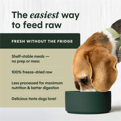 Instinct FreshDried Bites freezing process close-up, preserving nutrients and flavor.