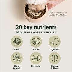 Instinct RawBoost pumpkin seeds provide fiber and heart-friendly nutrients