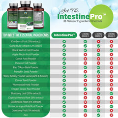 IntestinePro capsules closeup for convenient daily digestion.