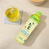 ITO EN Oi Ocha unsweetened matcha tea bottle for everyday refreshment.