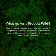It's Good Energy Amazon habitat image shows sustainable harvesting protecting biodiversity.