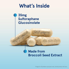 Delayed-release capsules for steady delivery in daily liver support routine