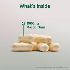 Label details showing 1000 mg per serving of Mastic Gum
