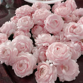 Jasmine Flower Seeds packet with 300+ seeds for lush fragrance and ground cover.