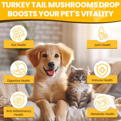 Jazytiko Turkey Tail Dog Drop pipette enables precise dosing for digestive balance.