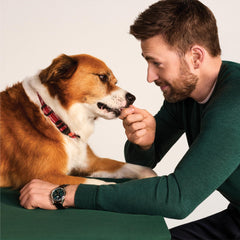 Jinx dog treats for all ages, puppies to seniors, versatile snack.