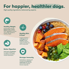 Jinx Premium Dry Dog Food probiotics visual emphasizing digestive health benefits