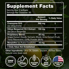JOYLI Nutrition CoQ10 500mg bottle back label showing ingredients and quality promise
