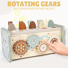 Joyreal gear-spinning activity fosters problem solving and curiosity.