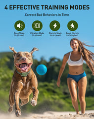 Jugbow collar with vibration mode aids gentle obedience training.