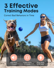 Jugbow two-channel remote supports training two dogs at once