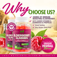 Nutrition facts panel on Just Nutrients elderberry gummies highlights key ingredients.