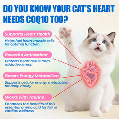 Just Try CoQ10 Cat Bites chicken flavor soft chews.