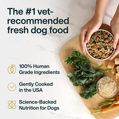 JustFoodForDogs JustFresh in serving bowl signifies a complete, soft-meal experience