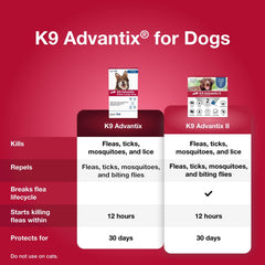 K9 Advantix Extra Large treated coat showing even coverage after application.