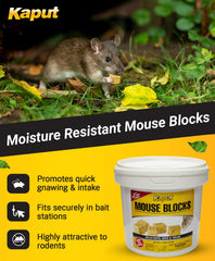 Kaput indoor-outdoor-use-label demonstrating versatile placement around buildings