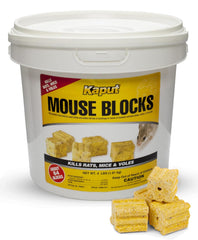 Kaput Mouse Blocks bait-application showing placement near entry points for targeted feeding