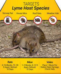 Kaput long-lasting pest control blocks shown in a yard setting.